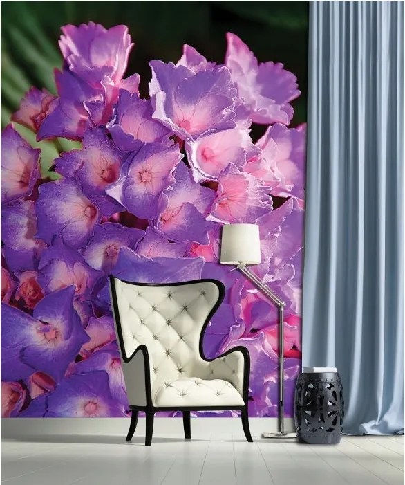 Flizelin fotótapéta Hortenzia Virágok a hálószoba nappaliba 206x275 +ragasztó