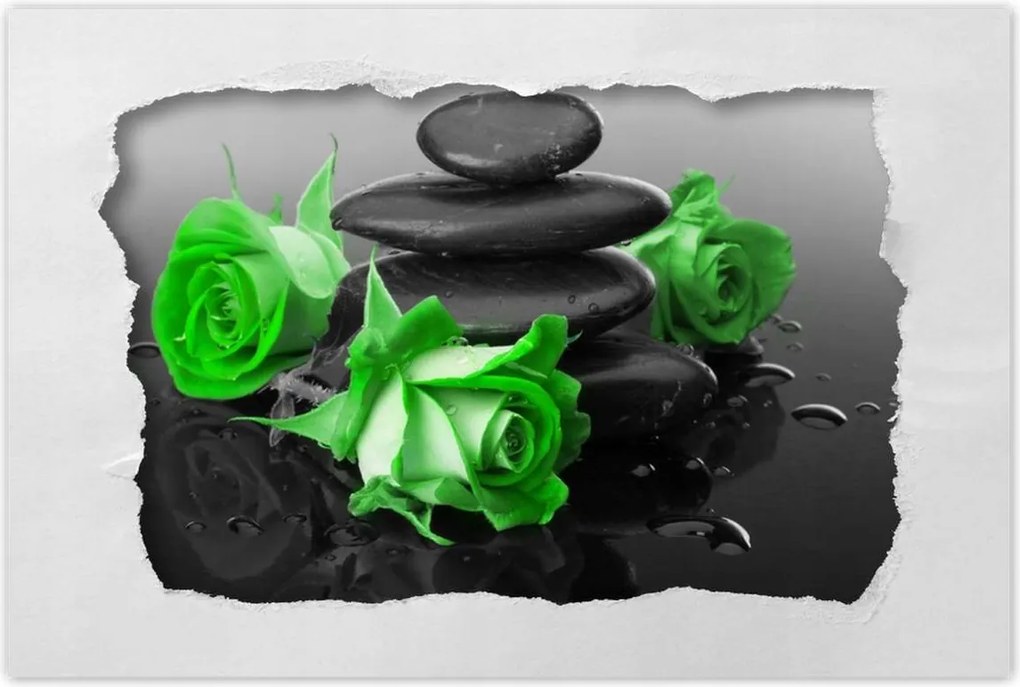 Poszterek 120x80 Zöld rózsavirágok