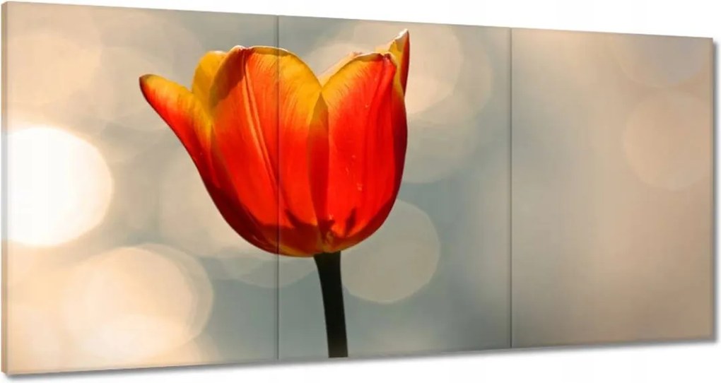 Vászonkép 180x90 Narancssárga tulipán