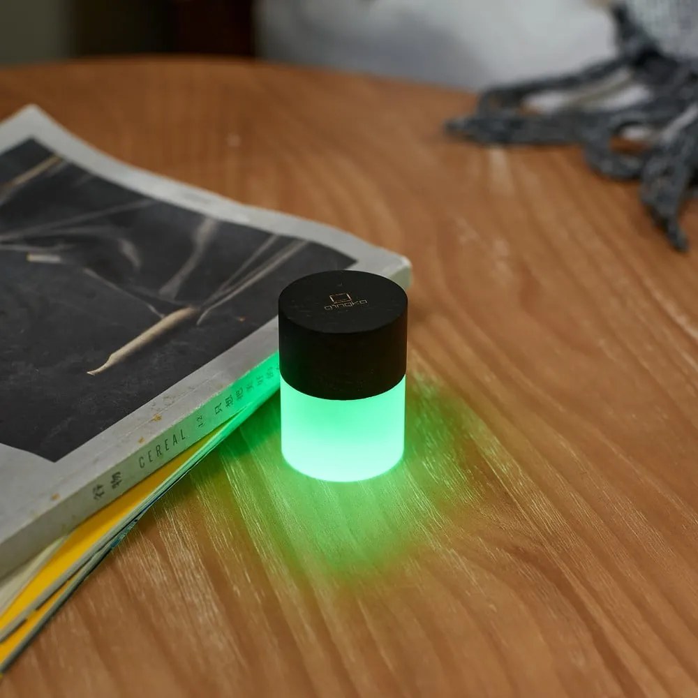 Fekete LED dimmelhető asztali lámpa üveg búrával (magasság 6 cm) Lemelia – Gingko