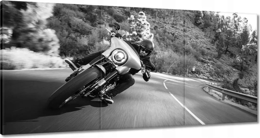 Képek 180x90 Harley Davidson Motorkerékpár