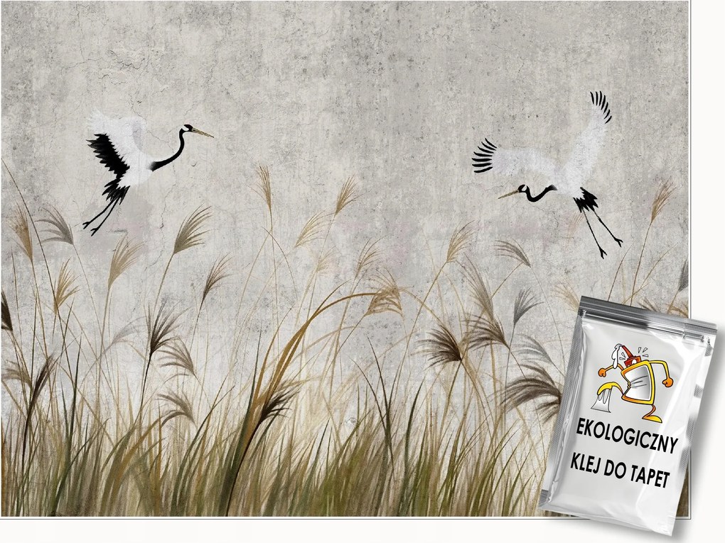 Fotótapéta Daruk Madarak Pampas Fű A Nappali Hálószobájába Tapéta 200x140