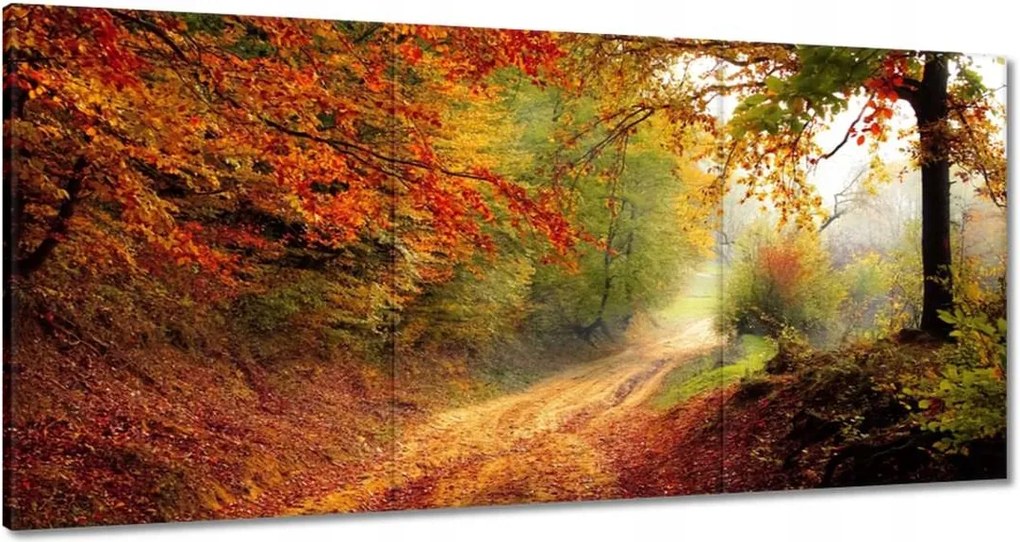 Vászonkép 120x60 Út az erdőben ősz