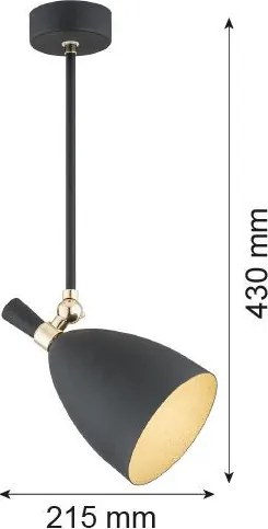 ARGON 4686 CHARLOTTE Egyágú Függesztett Lámpa Fém E27 IP20