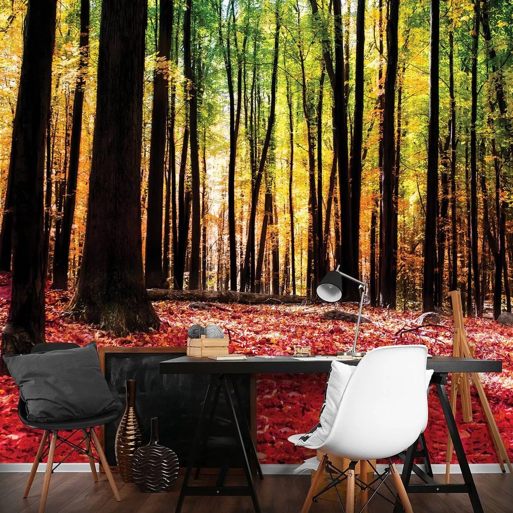 Fotótapéta - (152,5x104 cm)