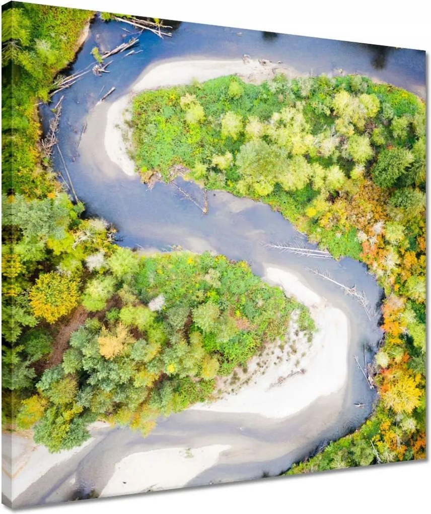 Vászonkép 40x40 Forgó folyó Erdő Ősz