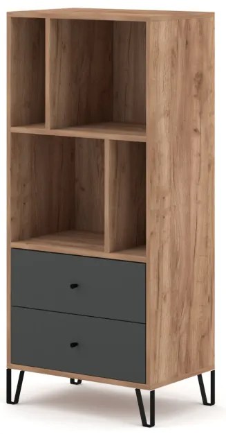 Polcos szekrény 2 fiókkal Craft Tobacco / grafit színkombinációban – BILBAO BL07
