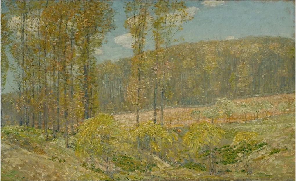 Fotótapéta Dekoratív Fali Tapéta Képek Erdei tájkép 416x254