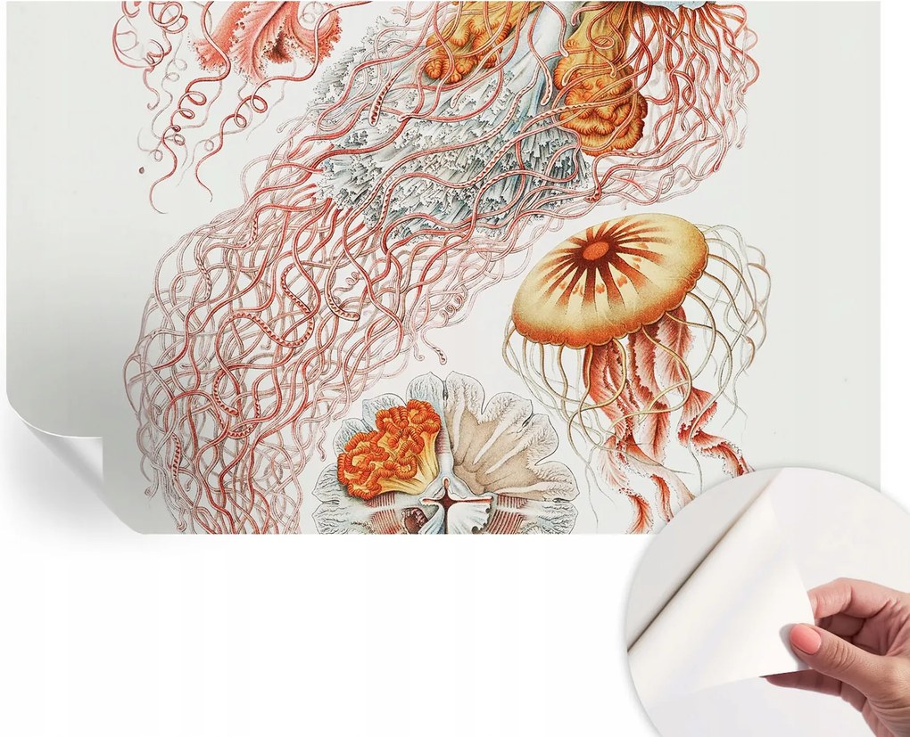 Modern öntapadós fali fotótapéta Fantázia medúzák 416x254 cm