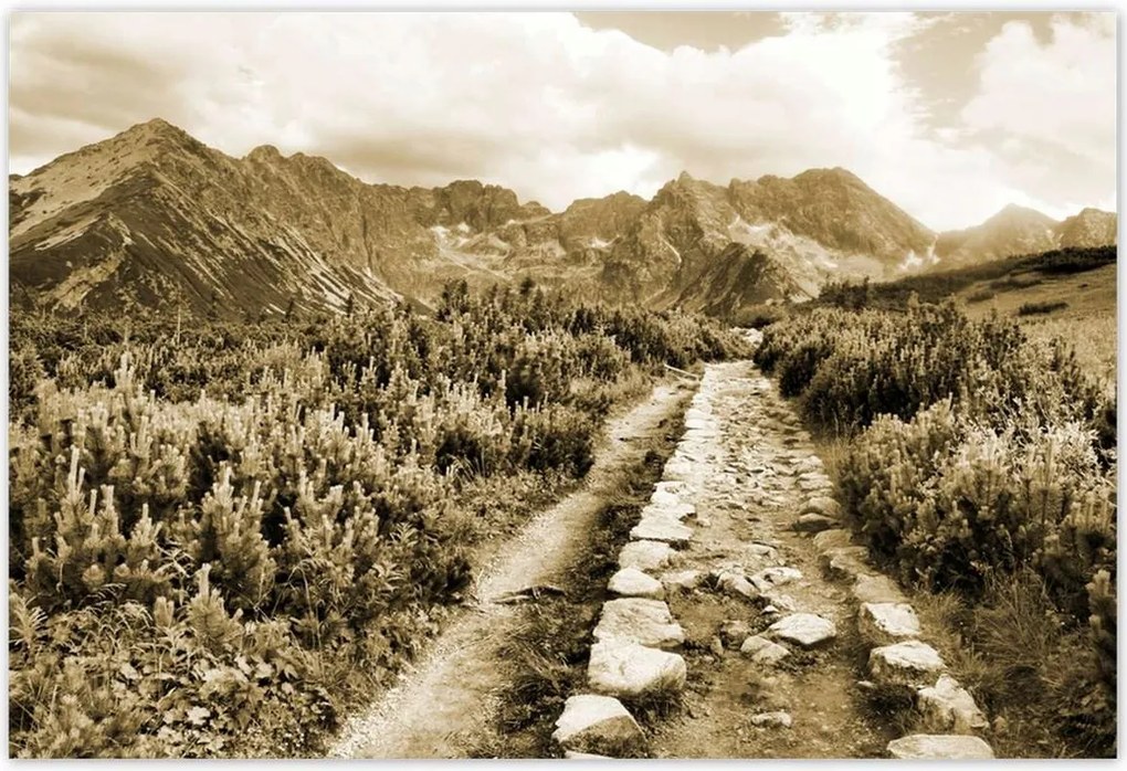 Poszterek 200x135 Tátra Lengyel hegyek Kilátás