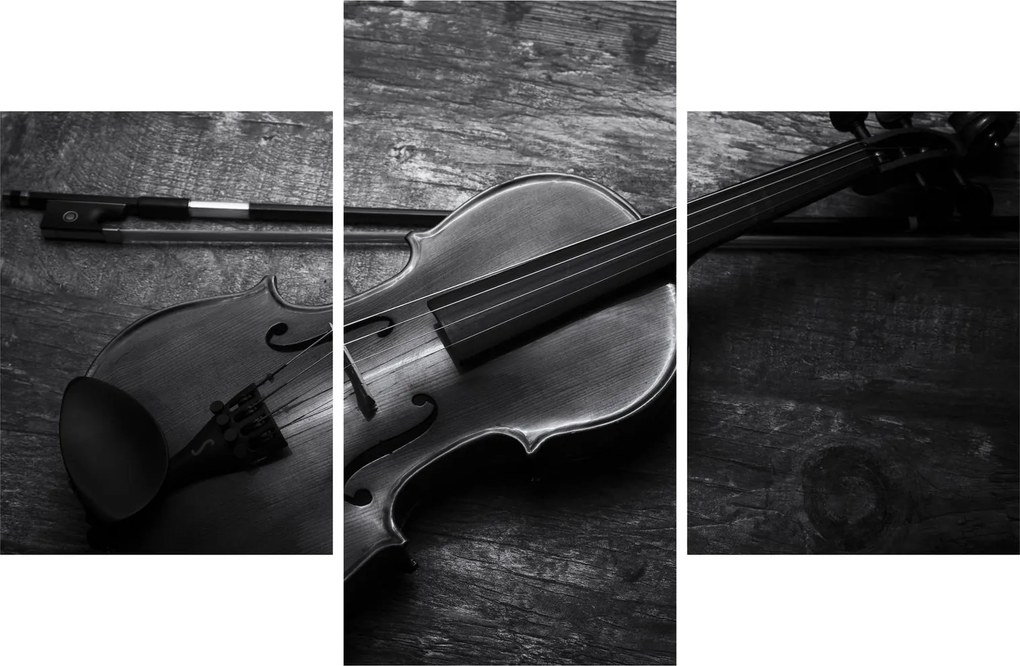 Kép - Viola (90x60 cm)