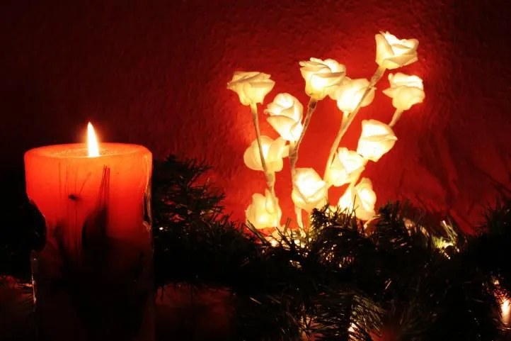 GARTHEN Fénydekoráció Dekoratív rózsák 16 LED 45 cm