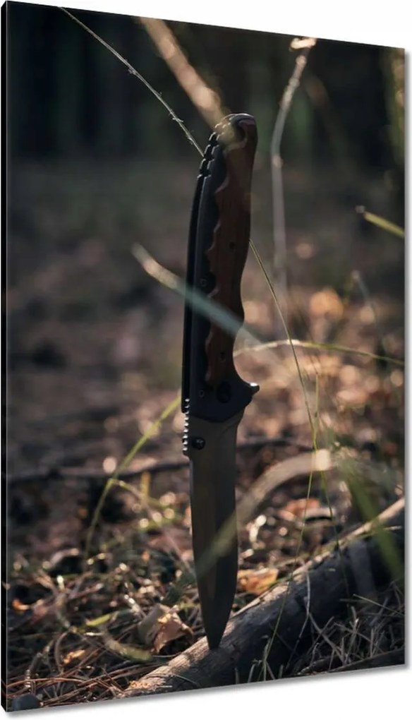 Vászonkép 80x120 Szúrt túlélő kés