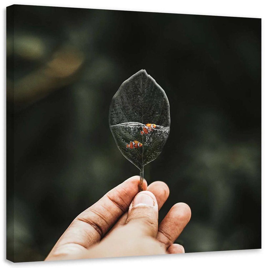 Gario Vászonkép Mini akvárium - Zehem Chong Méret: 50 x 50 cm