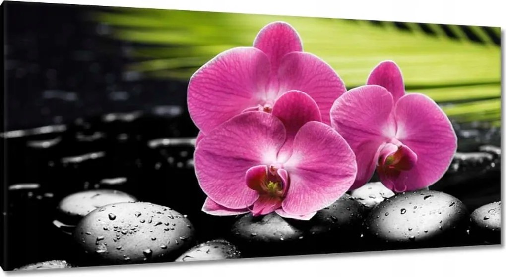 Festmények 115x55 Spa Kövek és leanderek