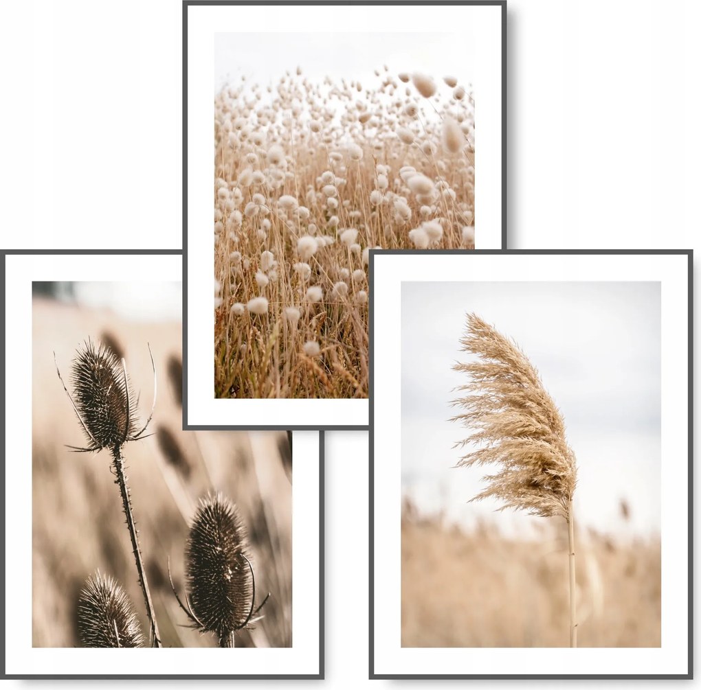 Boho 3 db-os kép szett 30x40 Természet Fű poszter #14