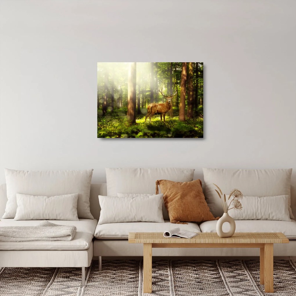 Kép egy szarvas az erdőben (üvegen) (70x50 cm)