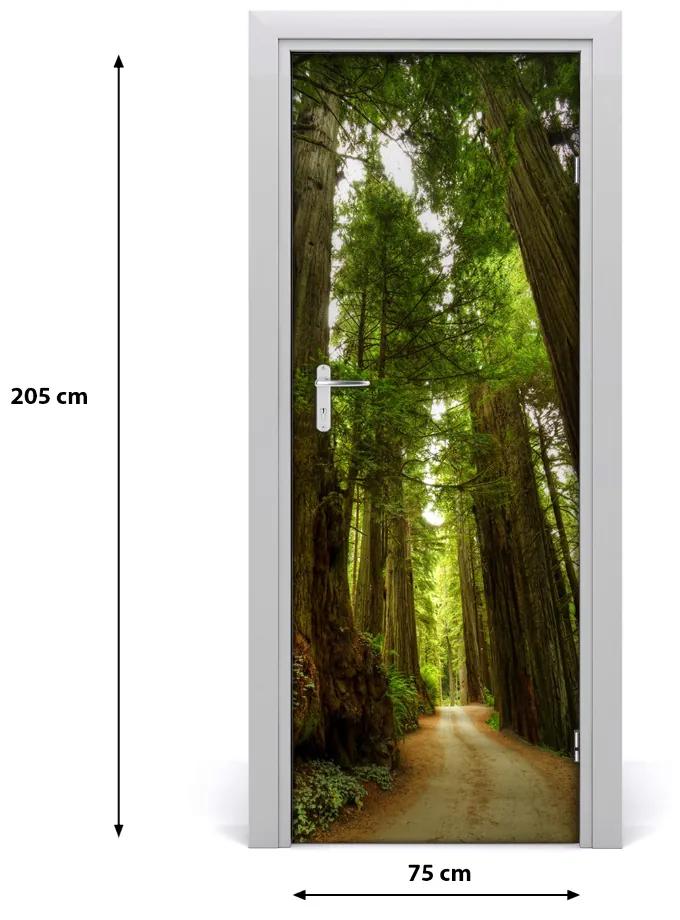 Ajtóposzter öntapadós Az út az erdőben 75x205 cm