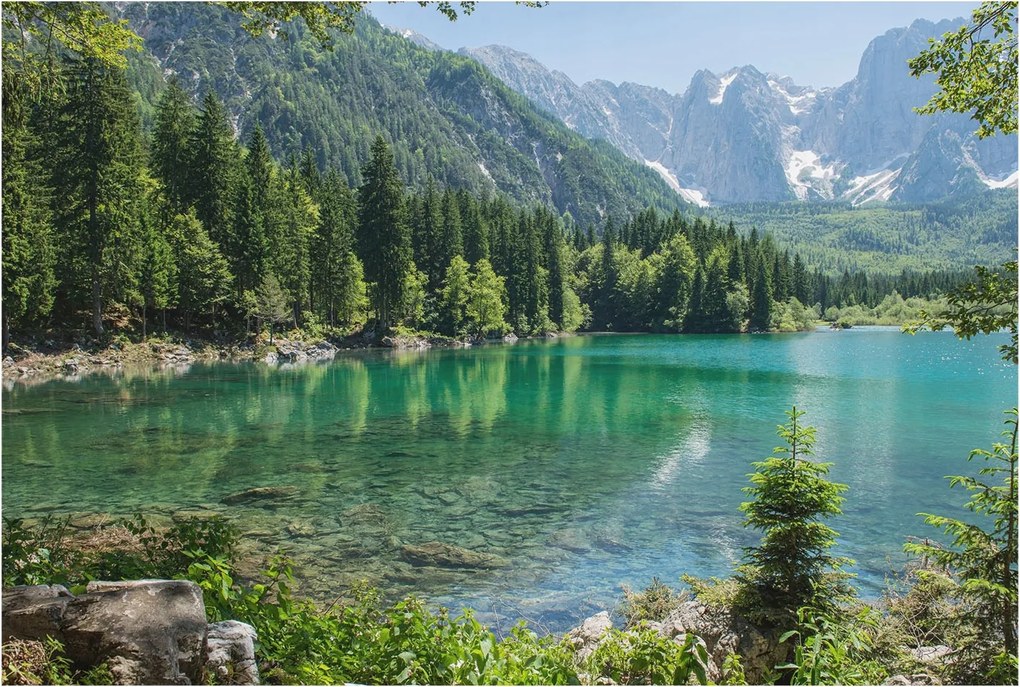 Stílusos Dekoratív Fotótapéta Flizelin Zöld tó 104x70 Ragasztó