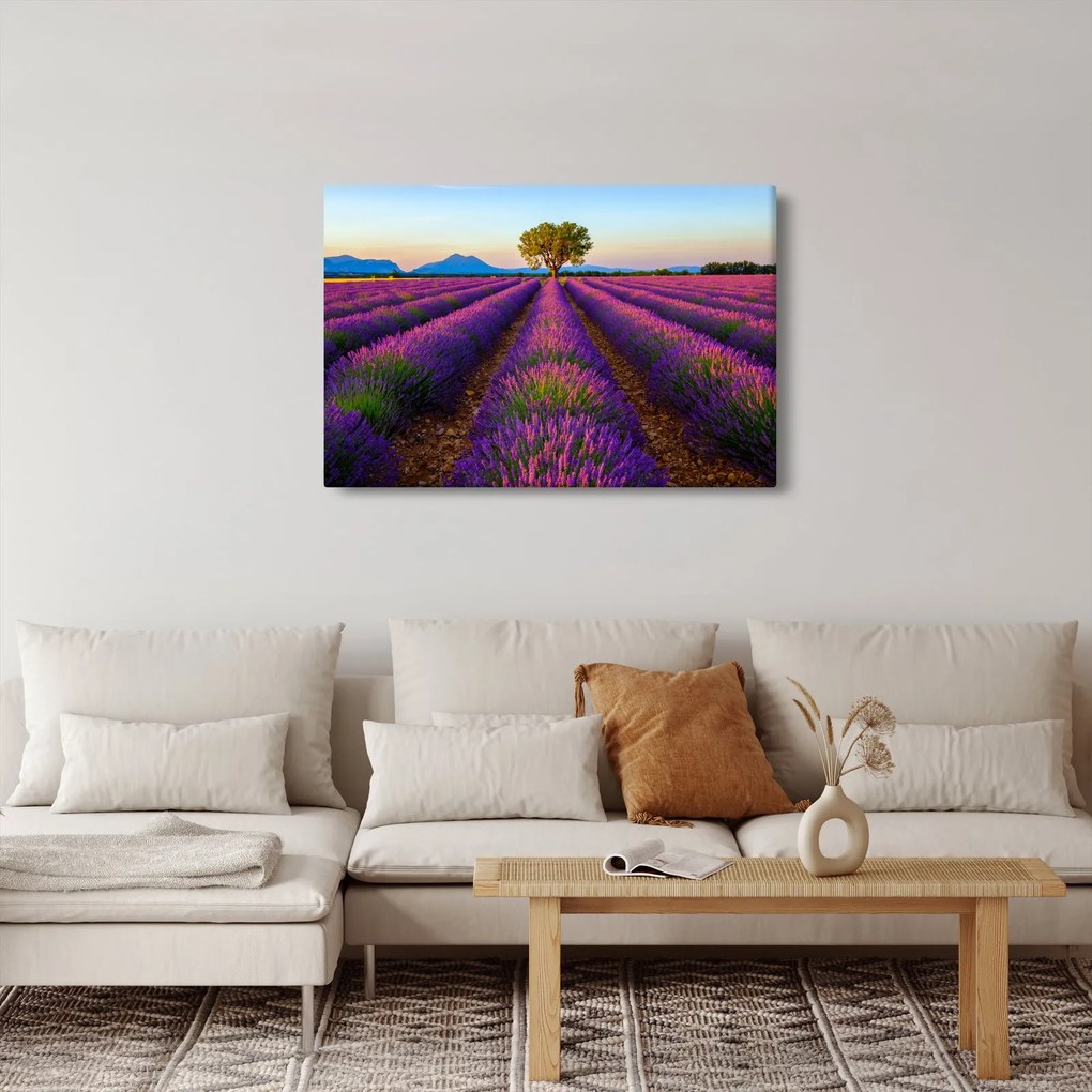 Kép - Levendula mező (90x60 cm)