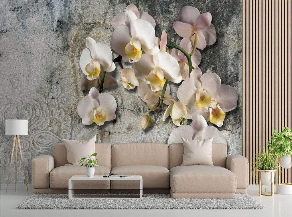 Gario Fotótapéta Virágzó orchidea egy régi fal hátterén Anyag: Vlies, Méret: 100 x 70 cm