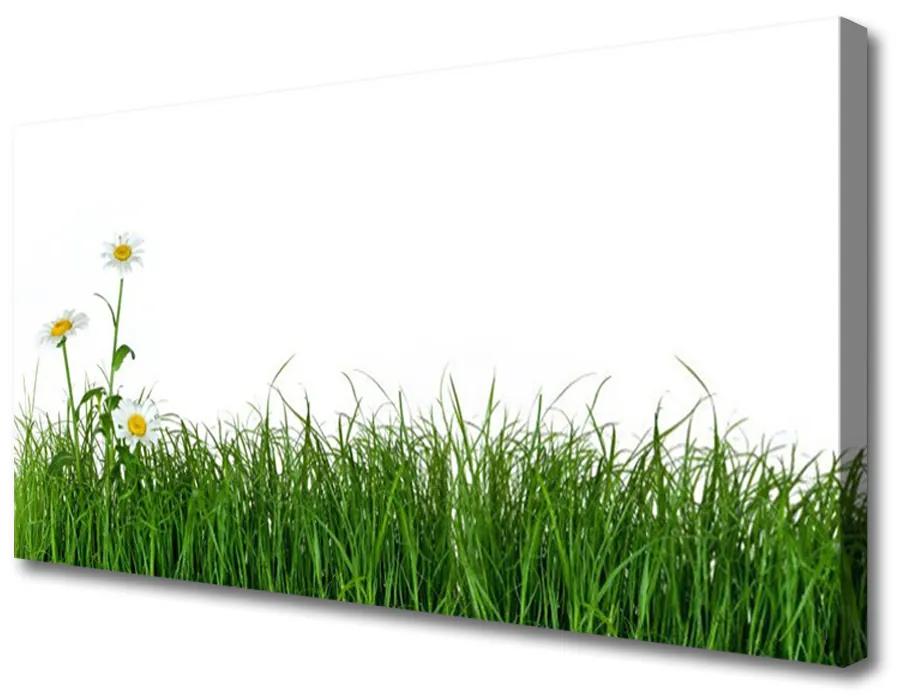Vászonkép nyomtatás Grass Nature Plant 125x50 cm