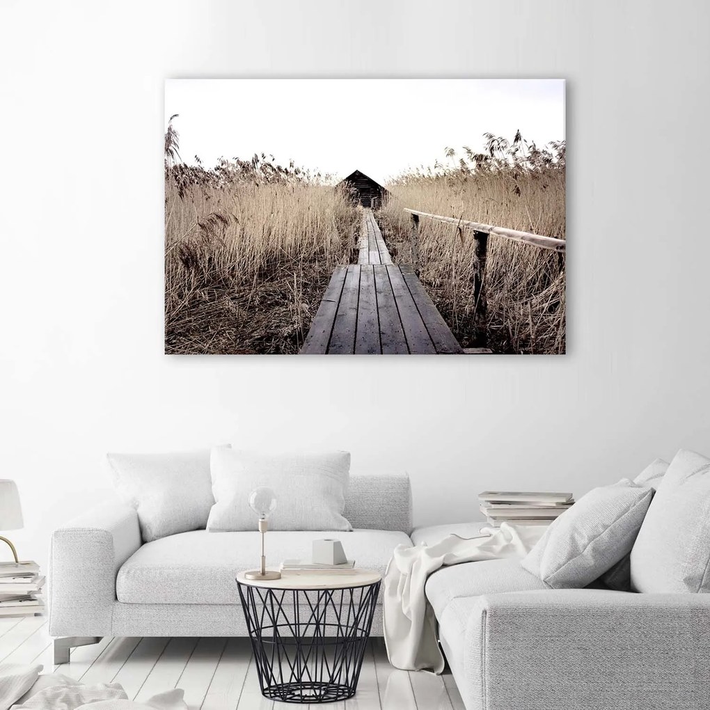 Gario Vászonkép Régi móló a magas nádasban Méret: 120 x 80 cm