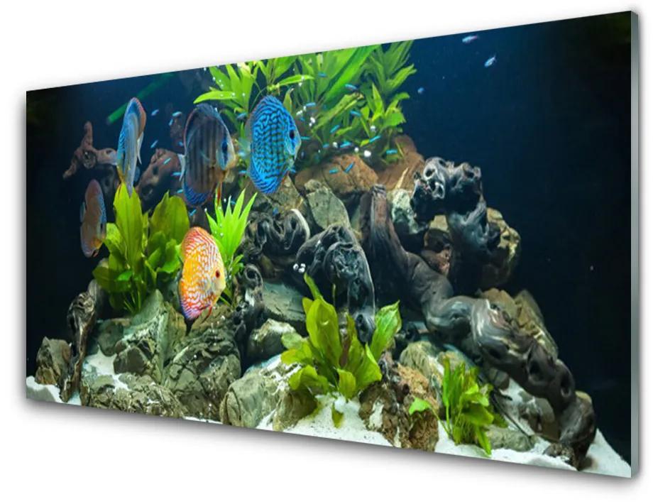 Modern üvegkép Hal akvárium Nature 140x70 cm