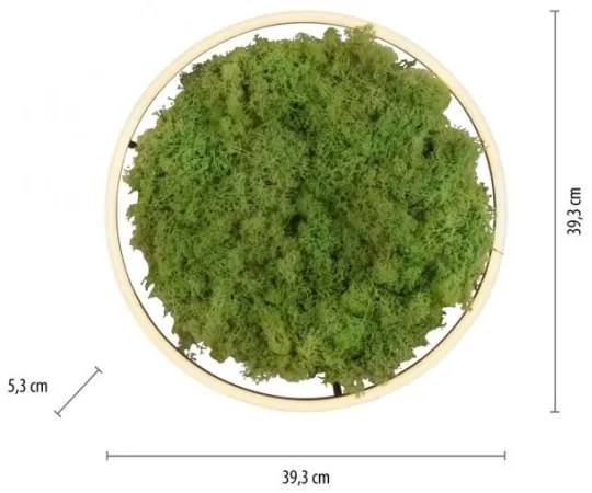 JUST LIGHT. 15391-66 - LED Dimmelhető mennyezeti lámpa ZÖLD RITU LED/20W/230V