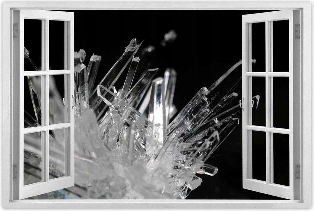 Poszterek 90x60 Makrofotó MacroFoto