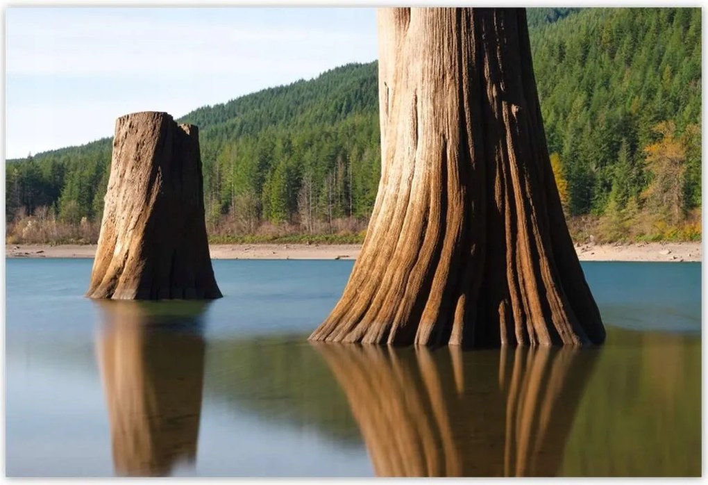 Poszterek 200x135 Fatörzsek a folyóban Hegyek