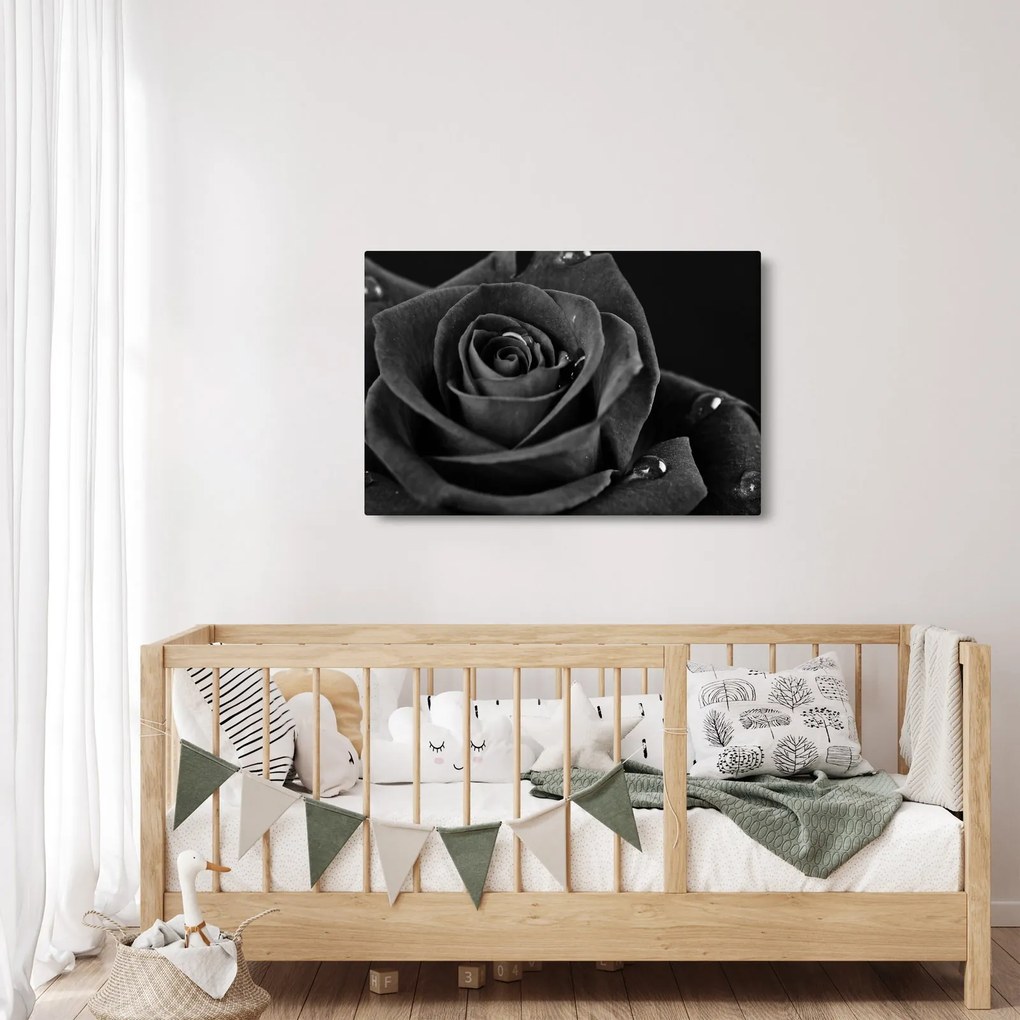 Kép - Bíborvörös rózsa (90x60 cm)