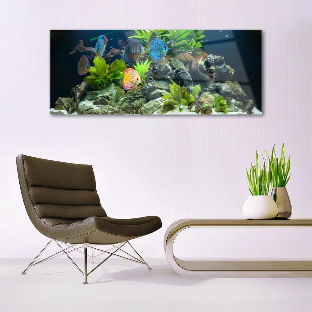 Üvegkép Hal akvárium Nature 125x50 cm