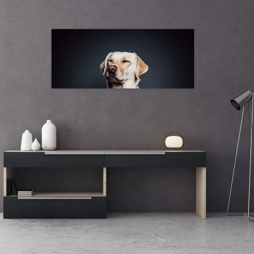 Labrador képe (120x50 cm)