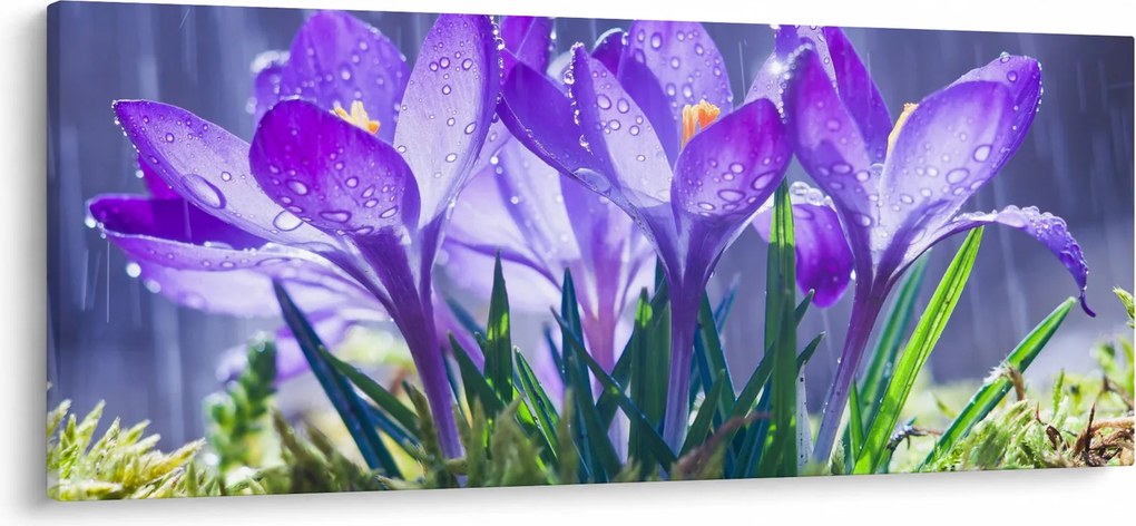 Virágok az esőben képe (120x50 cm)