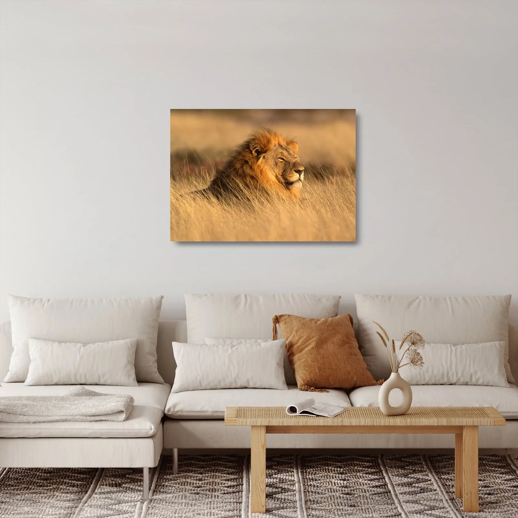 Üveg kép - Etosha Nemzeti Park (70x50 cm)