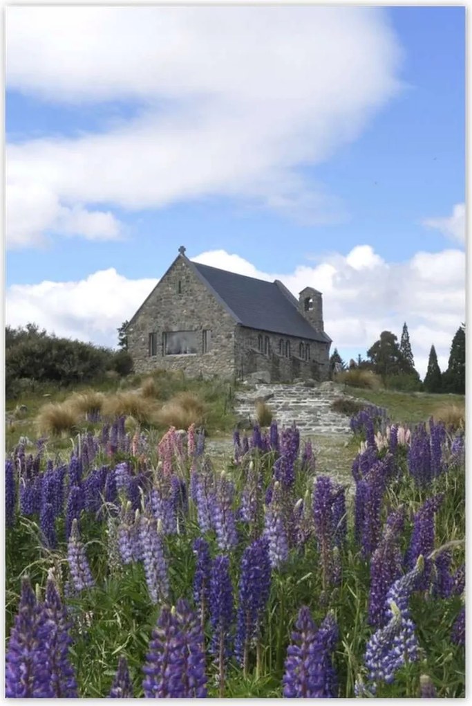 Poszterek 80x120 Lila virágok domb