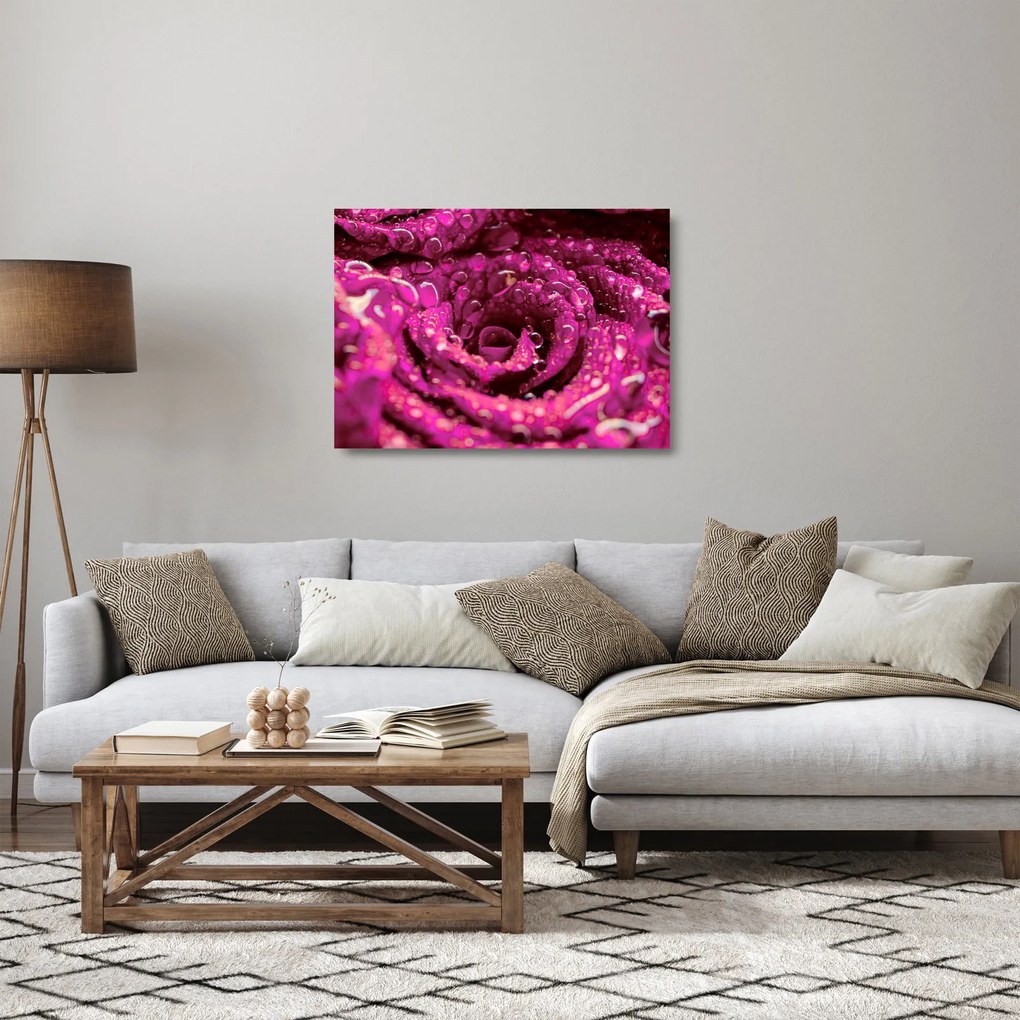 Rózsaszín rózsa virágzata képe (üvegen) (70x50 cm)