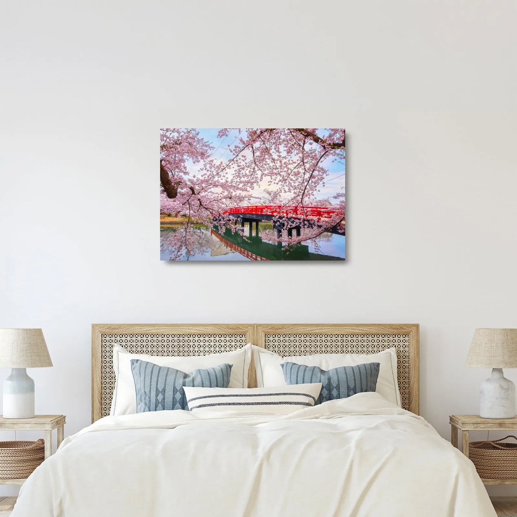Üveg kép - Hirosaki, Japán (70x50 cm)