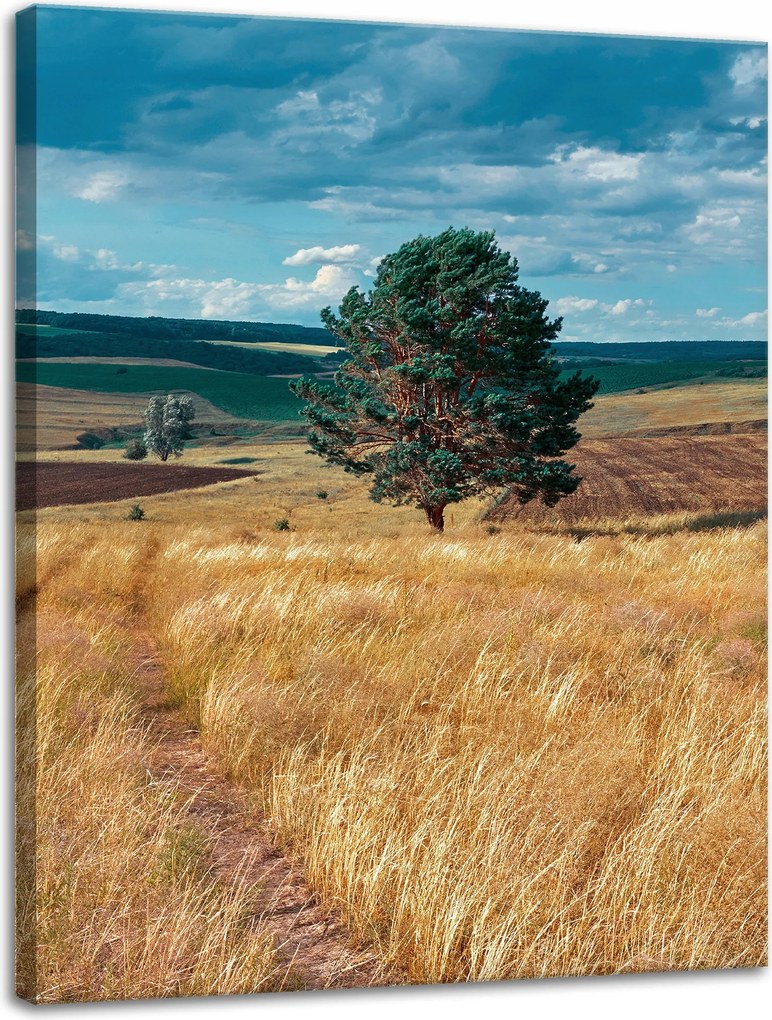 Vászonkép Gabonamező Természet Felhők Tájkép 30x40 cm