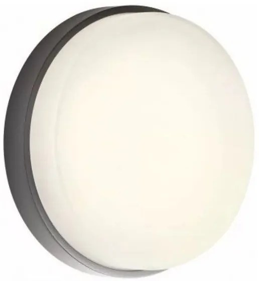 Redo 90516 - LED Kültéri mennyezeti lámpa URANIA LED/10W/230V IP65 antracit