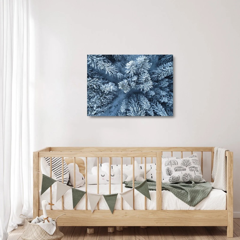 Üveg kép - Havas erdő (70x50 cm)