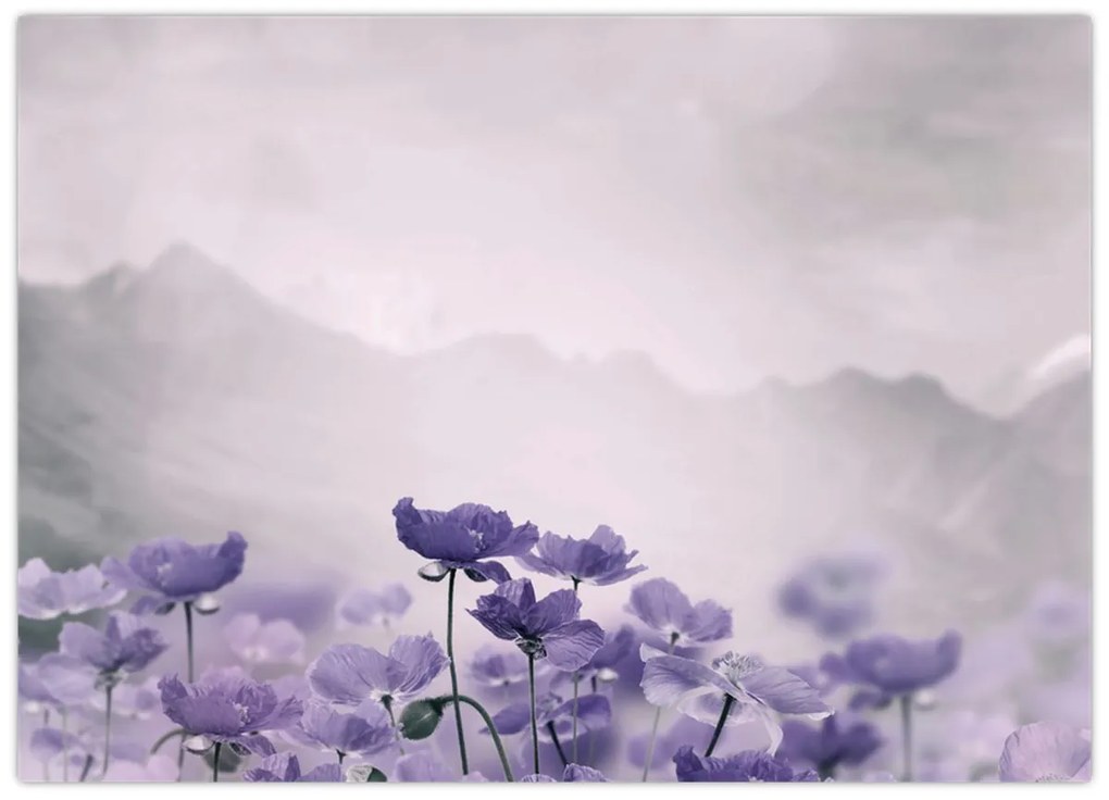 Kép - Lila virágok a hegyekben (70x50 cm)