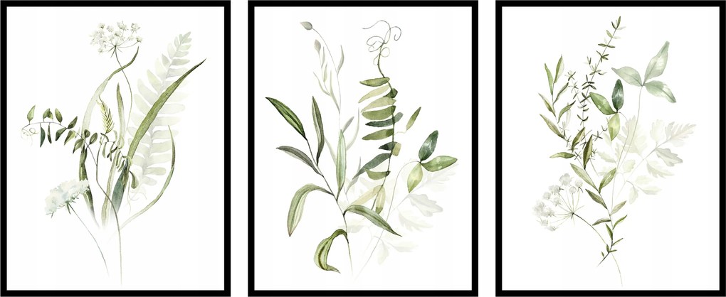 Triptichon poszter szett növény grafika botanika zöld 3db 13x18cm fotopp