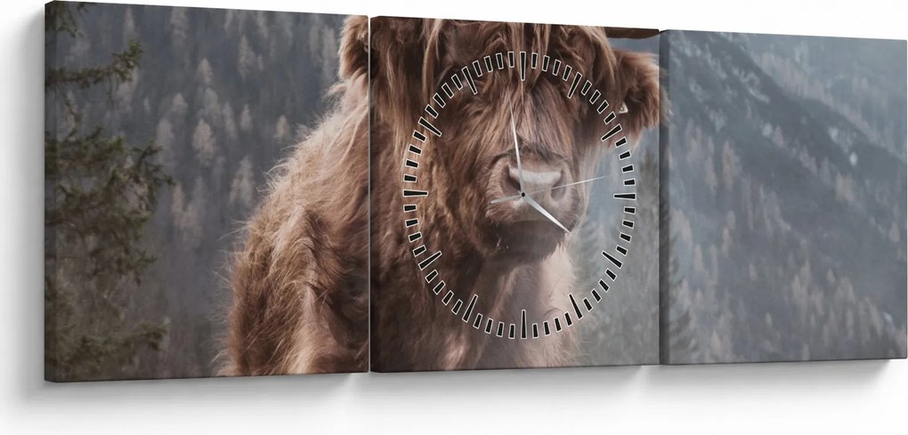 Kép - Highlander tehén (órával) (90x30 cm)