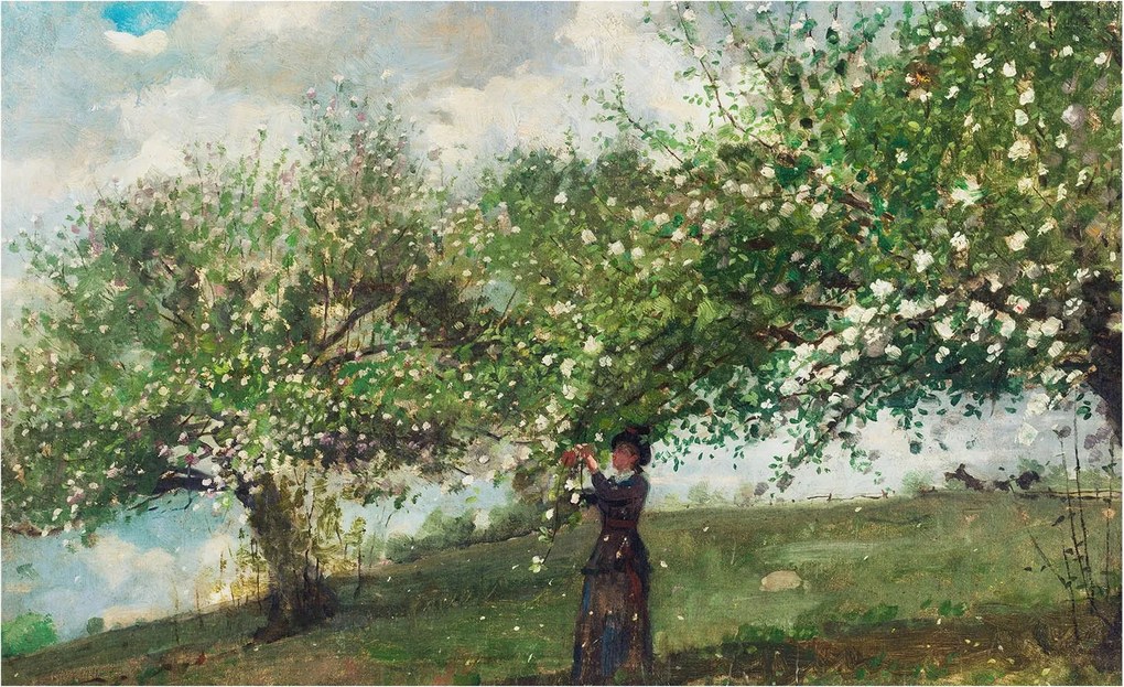 Fotótapéta Flizelina Nappali és Hálószoba Irodába Tavaszi jelenet 416x254 Ragasztó