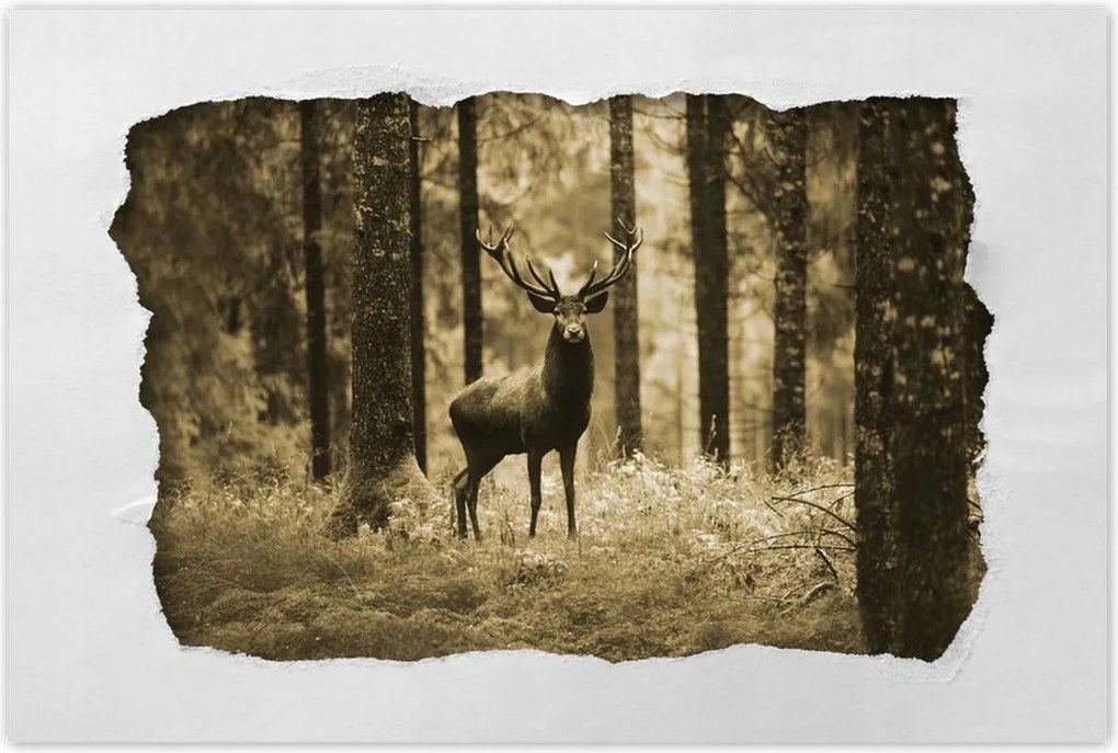 Poszterek 120x80 Szarvas a szépia erdőben