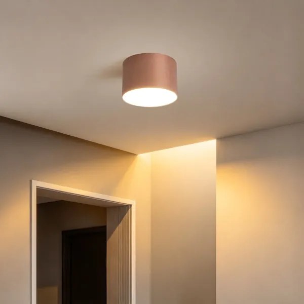 BRILAGI - Fürdőszobai mennyezeti lámpatest FORIS LED/9W/230V átm. 9 cm bronzszínű IP44