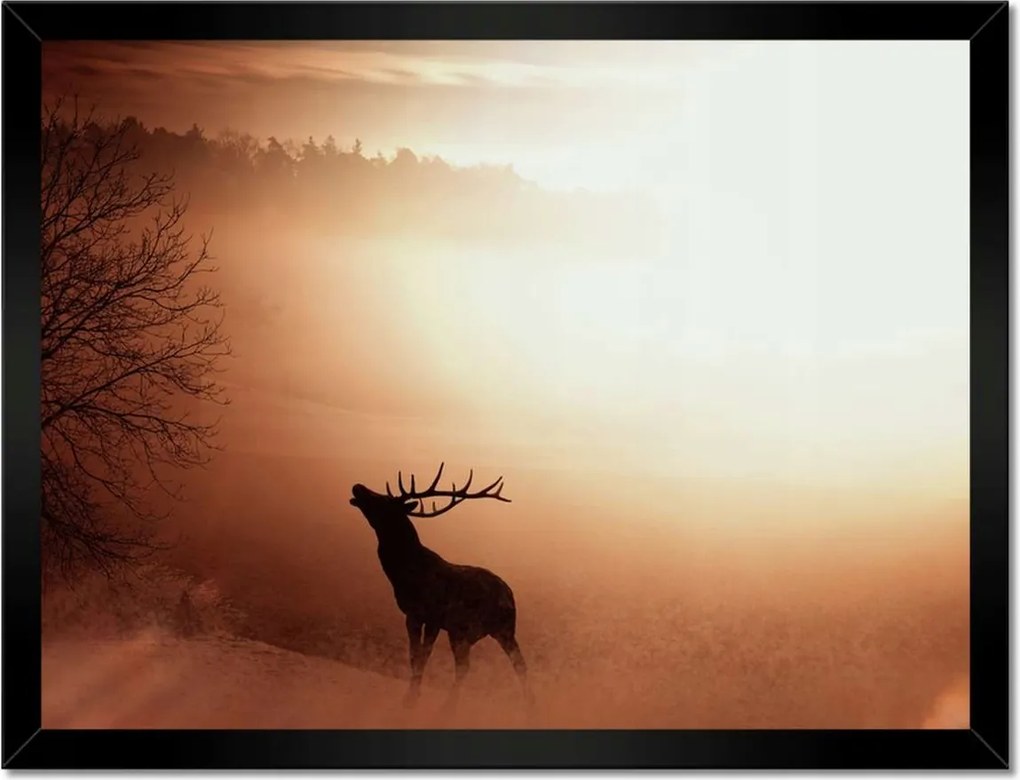Poszterek keretben 40x30 Szarvas az erdő szélén
