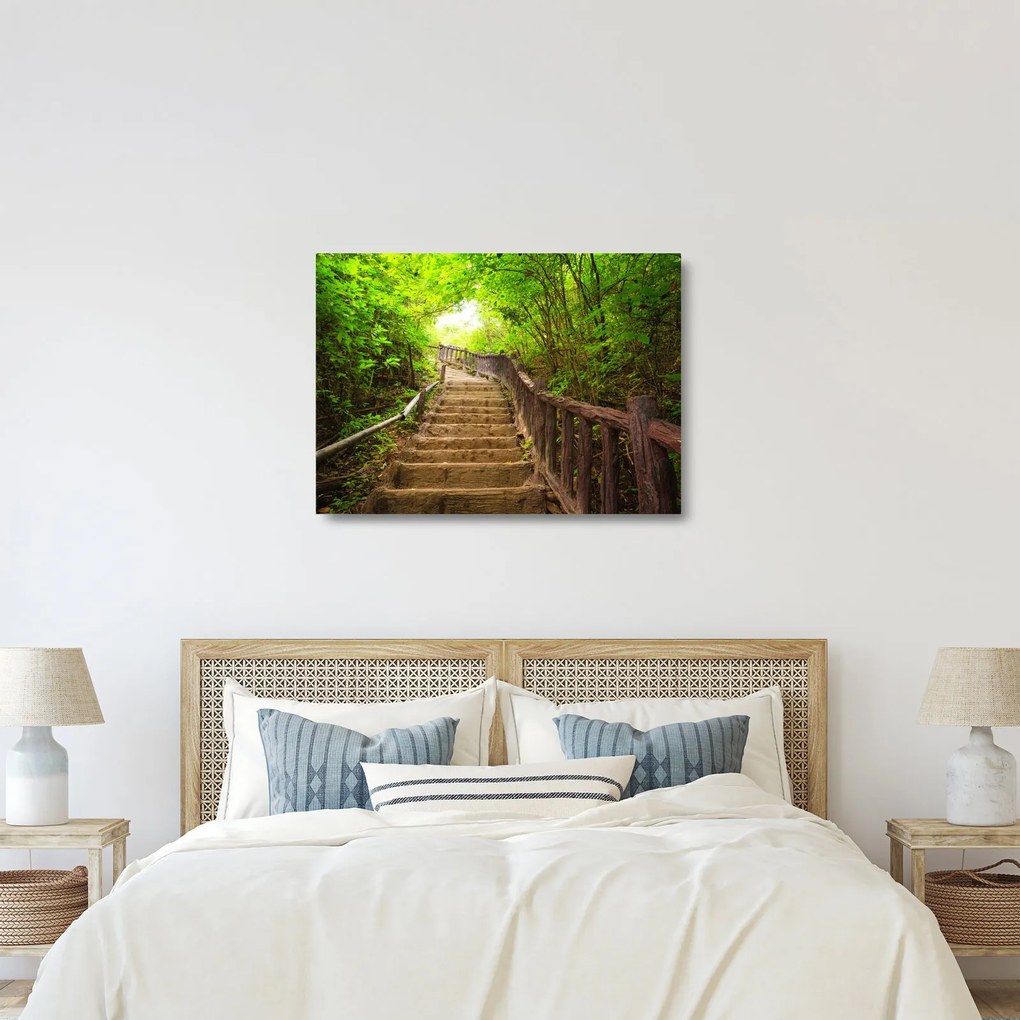 Üveg kép - Lépcsők a természetben (70x50 cm)